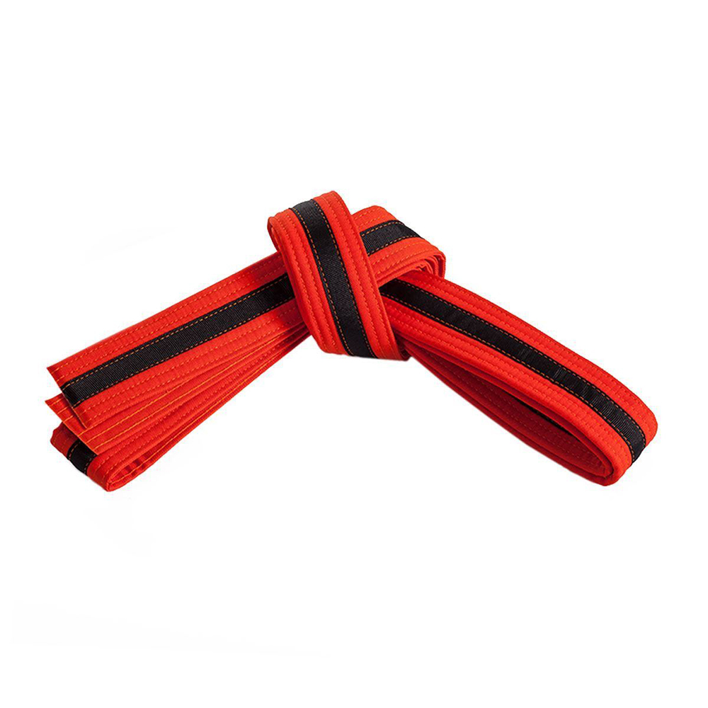 03 All martial arts belts - Image 1